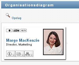 Knappen Udvid/skjul aktuel relation er en til/fra-knap. Dette er et eksempel på den sammentrukne visning.