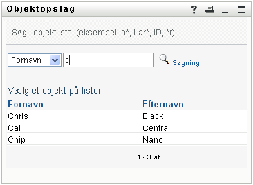 Efter en søgning viser siden Objektopslag også søgeresultater 