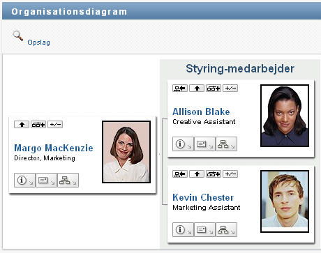 Knappen Udvid/skjul aktuel relation er en til/fra-knap. Dette er et eksempel på den udvidede visning.