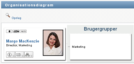 Skift af standardrelationen