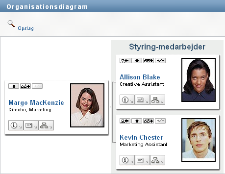 En visning af et organisationsdiagram
