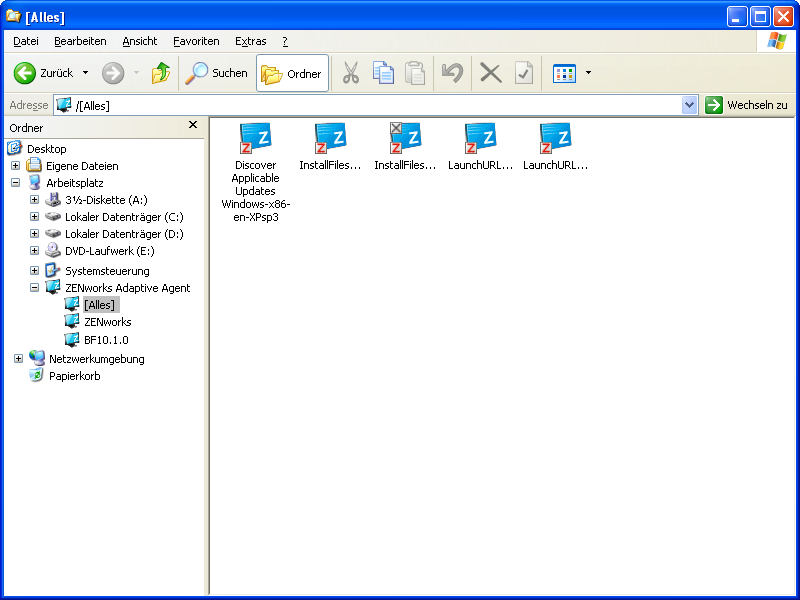 ZENworks Explorer - Windows Explorer-Ansicht
