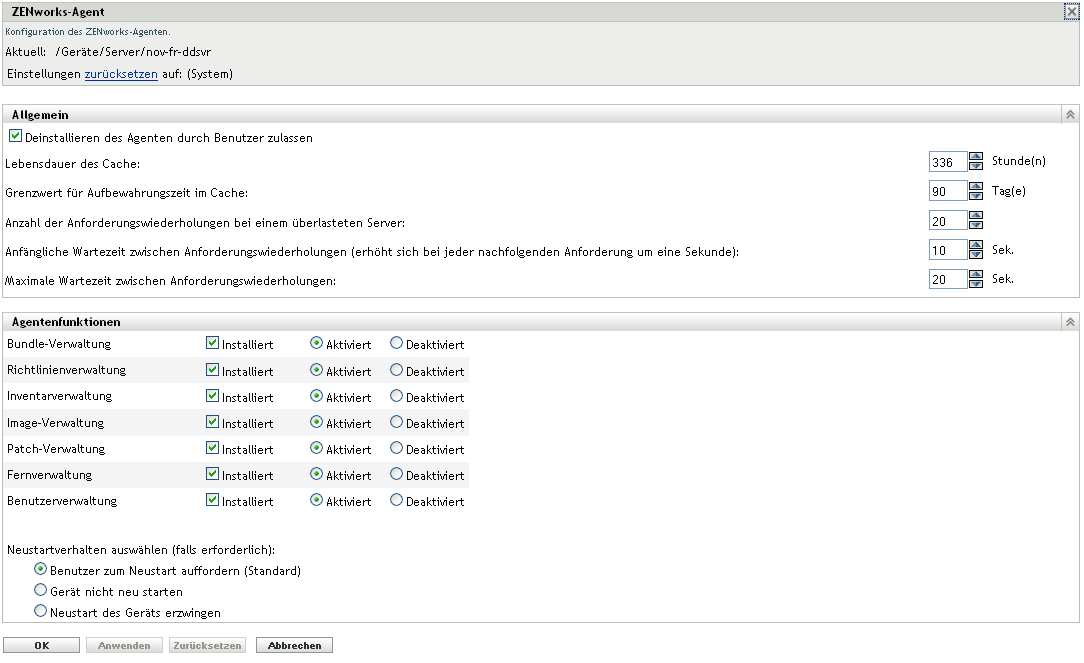 Seite „ZENworks-Agent“> Kontrollleiste „Agentenfunktionen“