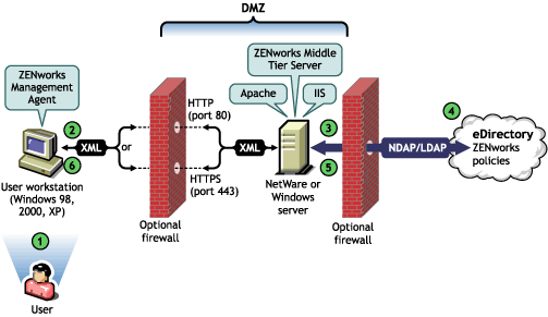 Diagramm, in dem der Vorgang einer Benutzerbeglaubigung bei eDirectory ber den Desktop Management-Agenten hinter der Firewall angezeigt wird