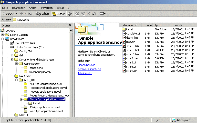NAL-Cache-Verzeichnis auf einem lokalen Laufwerk
