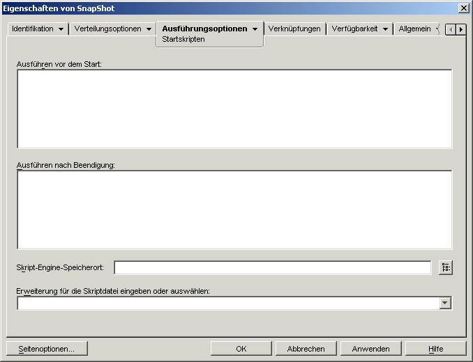 Anwendungsobjekt > Registerkarte "Ausfhrungsoptionen" > Seite "Startskripten"