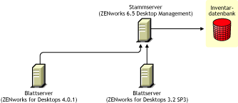ZENworks for Desktops 4.0.1-Blattserver und ZENworks for Desktops 3.2 SP 3-Blattserver, die ein Roll-up der Inventarinformationen auf den ZENworks 6.5 Desktop Management-Stammserver nach der Aktualisierung durchfhren.