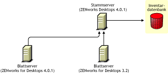 ZENworks for Desktops 4.0.1-Blattserver und ZENworks for Desktops 3.2-Blattserver, die ein Roll-up der Inventarinformationen auf den ZENworks for Desktops 4.0.1-Stammserver durchfhren.