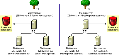 Zwei eDirectory-Bume mit jeweils den Inventarbumen von ZENworks 6.5 Server Management und ZENworks 6.5 Desktop Management.