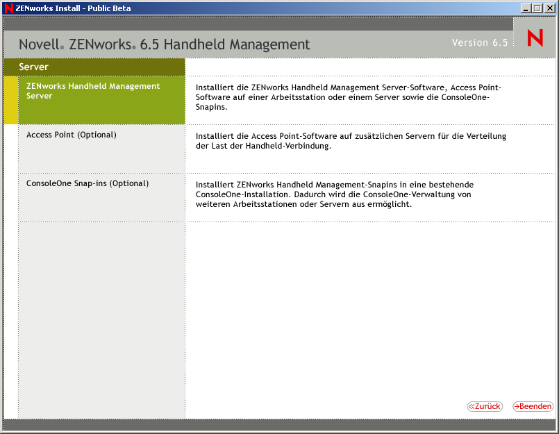 Seite "ZENworks Handheld Management-Serverinstallation"