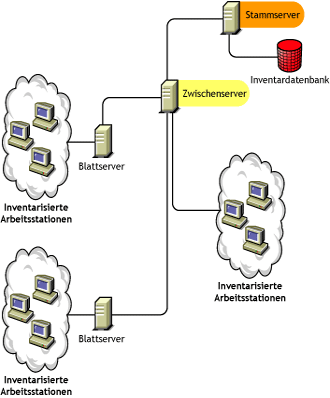 Ein Stammserver mit einem Zwischenserver, mit dem inventarisierte Arbeitsstationen verbunden sind.