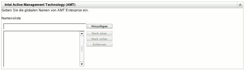 Abschnitt "Intel Active Management Technology (AMT)"