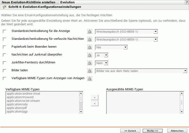 Seite "Evolution-Konfigurationseinstellungen"