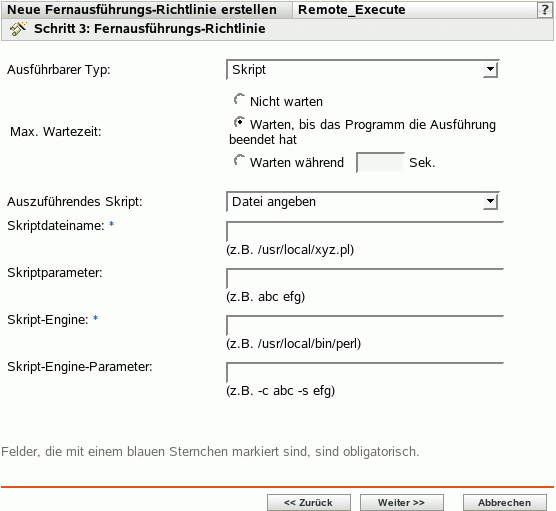 Seite "Fernausführungs-Richtlinie"