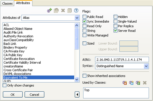 The Attributes tab on the Manage Schema Tool