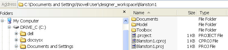 Local directory structure on a Windows workstation