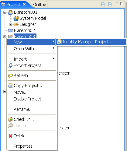 Adding an Identity Manager project