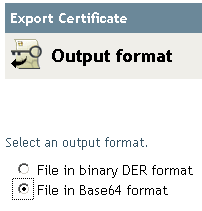 Radio buttons to specify the output format