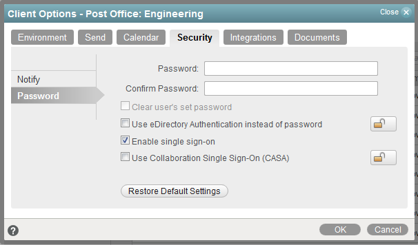 Security Options dialog box -- Password tab