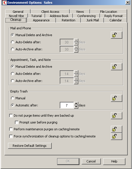 Environment Options Dialog Box with the Cleanup Tab Open