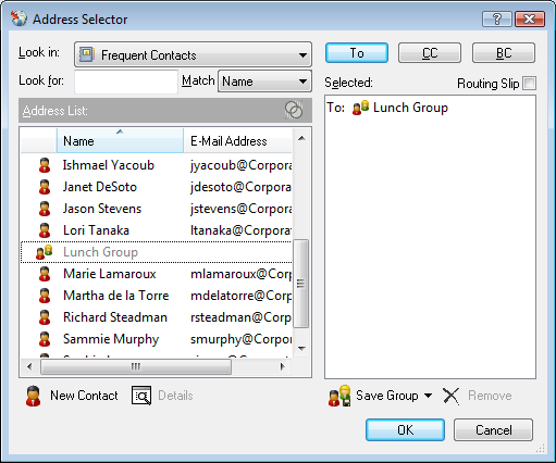 Address Selector showing a group
