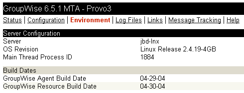 MTA Web console with the Environment page displayed for a Linux server