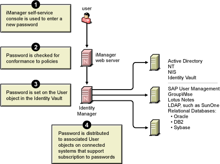Diagram of Identity Manager distributing passwords to connected systems