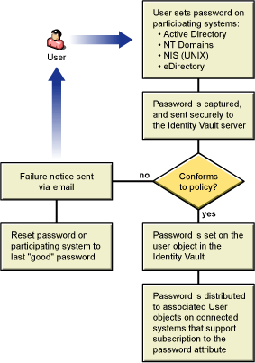 Diagram of password publishing to Identity Manager