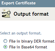 Radio button to specify the output format