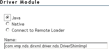 The Driver Module section