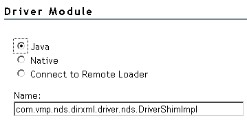 The Driver Module section