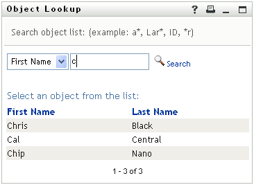 After a search, the object lookup page also displays search results 