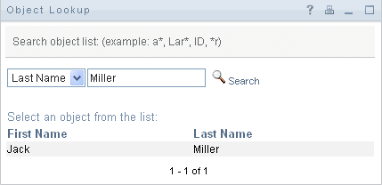 Lookup prompts you for search criteria