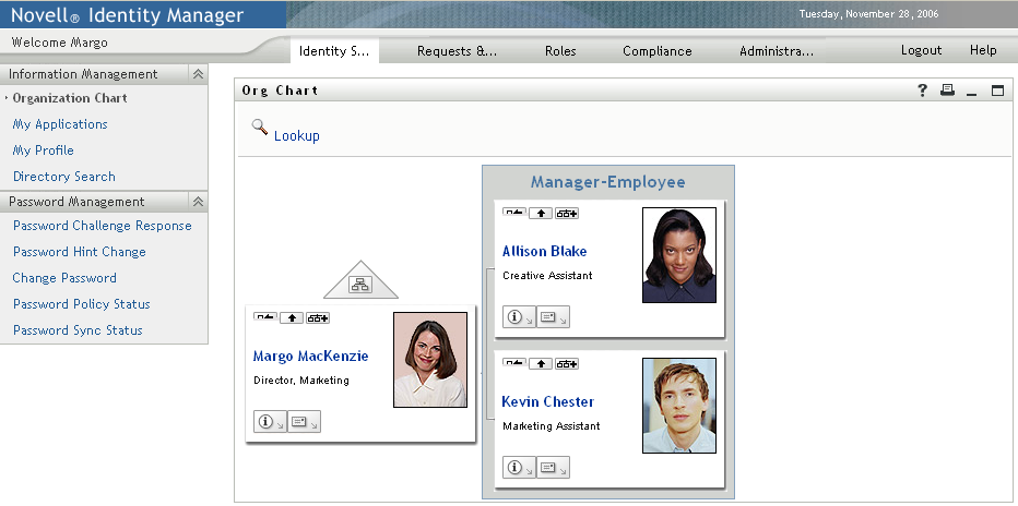 Successful log-in displays tab pages and the Organization Chart
