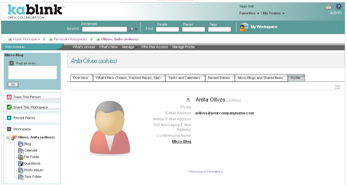 Kablink Teaming user workspace