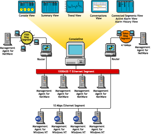 The management agent for NetWare and Windows NT distributed throughout a network, and the server views available from ConsoleOne