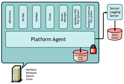 The Platform Agent's Supported Operating Systems