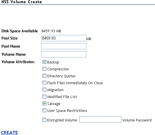 Example NSS Volume Create page