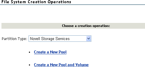 Options for creating NSS pools and volumes