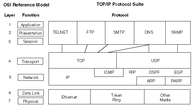 Novell Doc: NW 6.5 SP8: TCP/ IP Administration Guide - The TCP/IP Suite