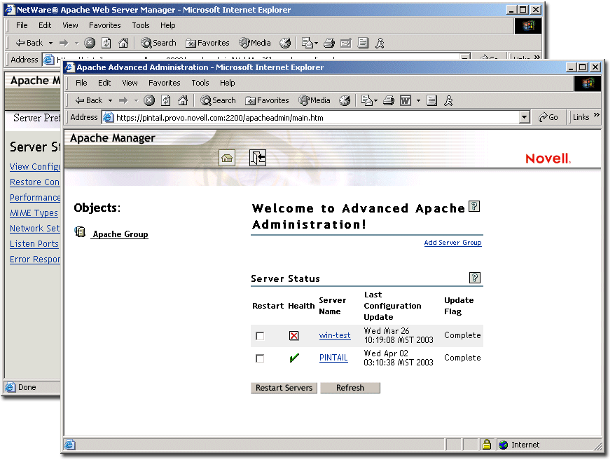 The two interfaces of Apache Manager: Single Server Administration and Multiple Server Administration.