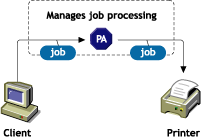 Printer agent processing print jobs