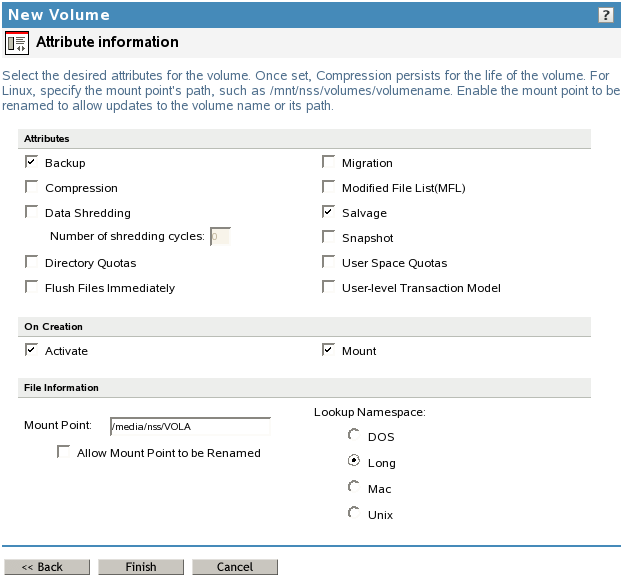 Sample Attribute Information Page from the New Volume Wizard on NetWare