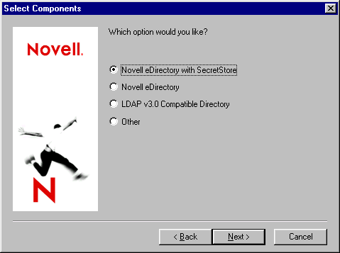 The Setup Type window