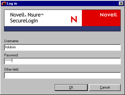 An example login dialog box