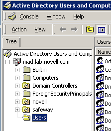 The Active Directory Users and Computers pane