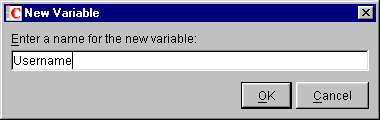 The dialog box for naming a variable