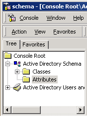 Active Directory Schema in the directory structure
