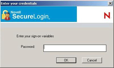 Entering a password