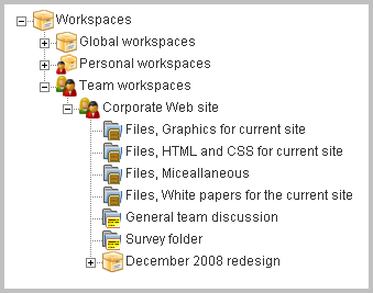 The Folders Contained Within a Team Workspace